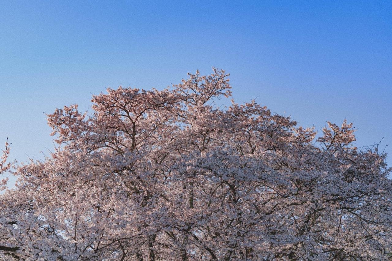 Kominkayado Loof Sakanoie Fuefuki Exterior foto